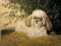 Click to view larger
